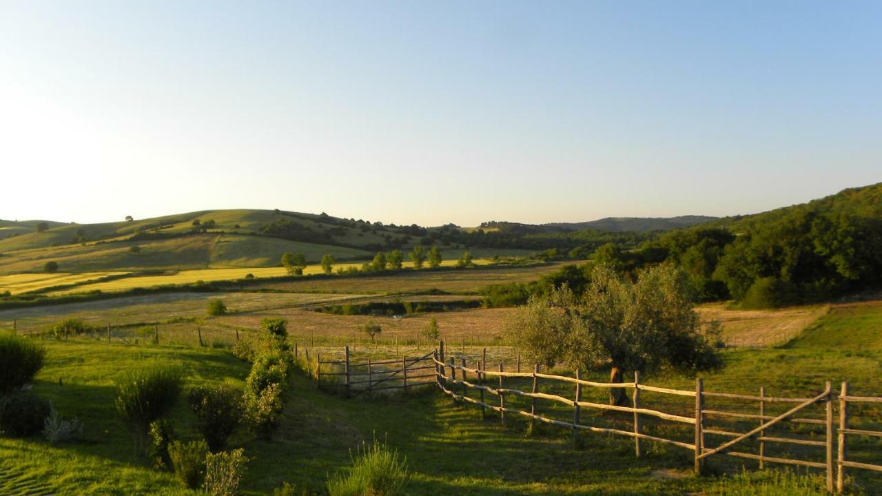 Bed and Breakfast Macchiabuia Capalbio Exterior foto